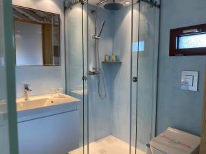 圣帕拉斯凯维魔术酒店的带淋浴、盥洗盆和卫生间的浴室