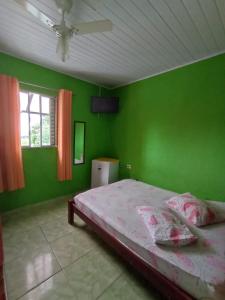 大普拉亚Pousada/suites Praia Grande III的一间拥有绿色墙壁的卧室,其中配有一张床