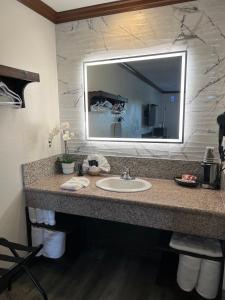 亨廷顿海滩亨廷顿海滩星光酒店的一间带水槽和大镜子的浴室