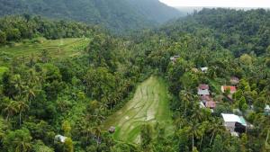 新加拉惹Ananda Homestay Lemukih的丛林农场的空中景观