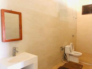 坎古passifika house的一间带水槽、卫生间和镜子的浴室