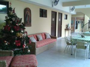 巴科洛德11街住宿加早餐旅馆的客厅配有圣诞树和沙发