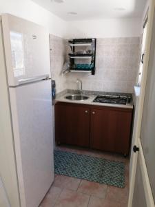 梅利托迪波尔托萨尔沃Casa sul Corso的一间带水槽和冰箱的小厨房