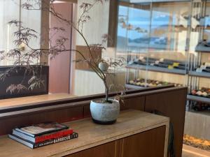 巨济Hotel SANG SANG的坐在桌子上,有书的盆栽植物