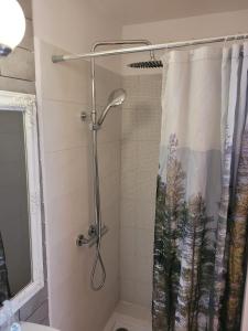 斯塔雷朱奇Uroczysko Skomackie的浴室内配有淋浴帘。