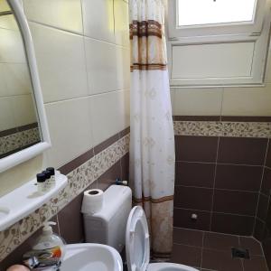 斯塔多伊兰Apartmani Milica Dojran的浴室配有卫生间、盥洗盆和淋浴。
