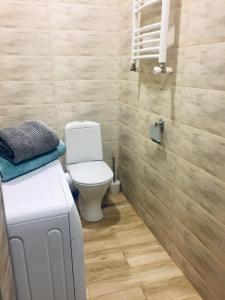 巴库里阿尼Fortuna Cottage Bakuriani的一间带白色卫生间的浴室