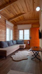 特拉布宗GÖRNEK TABİAT PARKI的一间客厅,客厅配有沙发,位于木房