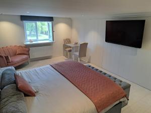 鲁瑟拉勒Rêveries的一间卧室配有一张床和一台平面电视