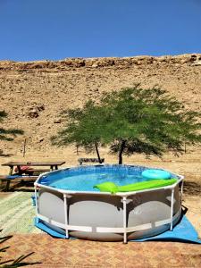 米茨佩·拉蒙השקדיה - Shkedya的沙漠中的一个游泳池,有树
