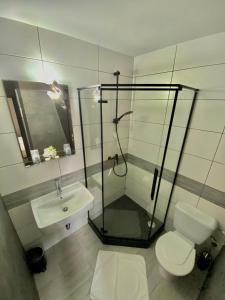 恰德察Penzión DOMES的带淋浴、卫生间和盥洗盆的浴室