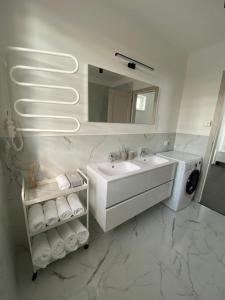 贾尔TWIN HOUSE的白色的浴室设有水槽和镜子