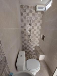 哈马马特Dar Fatma的一间带卫生间和淋浴的小浴室