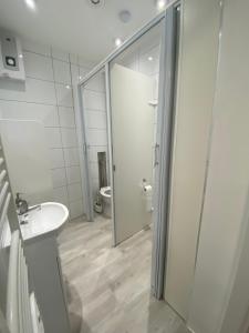 乔左维尔考普尔斯基Noclegi Pracownicze Parking Busy的带淋浴、盥洗盆和卫生间的浴室