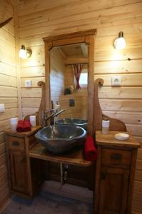 MesteriEHM Baumhaus Chalet的小木屋内带水槽的浴室