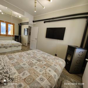 普雷托罗Casa di Nastya的一间卧室配有一张床和一台平面电视
