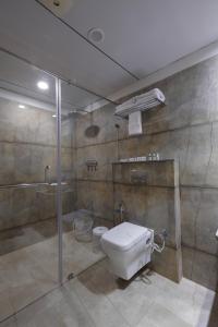 艾哈迈达巴德HOTEL THE LOTUS PARK的一间带卫生间和淋浴的浴室