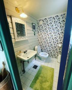 莱达尔绥里Aobrio Holidayhouse, authentic norwegian farmhouse close to Flåm的一间带卫生间和水槽的浴室