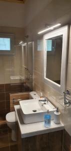 里托楚伦Litochoro apartment in Estate A1的一间带水槽、卫生间和镜子的浴室