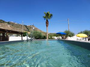 伊斯基亚Hotel Villa Bernardina的一个棕榈树背景的大型游泳池