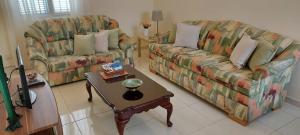 普拉亚Apt. Idilfa的客厅配有两张沙发和一张咖啡桌