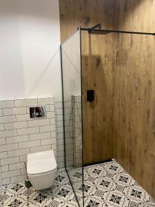 伊拉华Apartament Tomek的一间带卫生间和淋浴的浴室