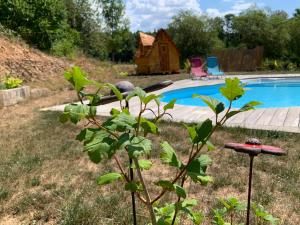 龙尚Insolite avec piscine Au Bonheur Comtois的游泳池旁的院子中的植物