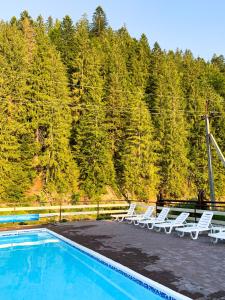 塔塔里夫森林之家酒店的一组躺椅和一个游泳池