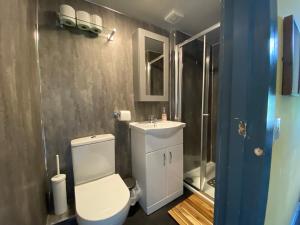爱丁堡The Residence - 47 Minto St的浴室配有卫生间、盥洗盆和淋浴。