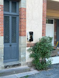 Neuilly-le-RéalChâteau Ségot的建筑物一侧信箱里的狗