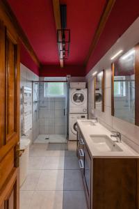 La EsperanzaMaison Mialon: country house amidst of nature的一间带水槽和洗衣机的浴室