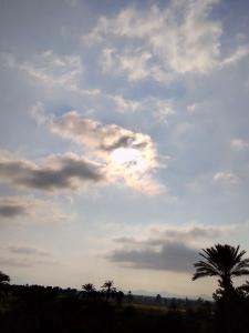 赫尔格达رحله تسوق الغردقه的一片云天,前方有棕榈树