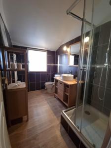 克莱蒙费朗Maison individuelle avec sa piscine privée的带淋浴、盥洗盆和卫生间的浴室