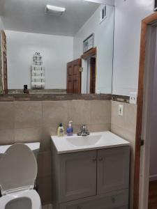 巴尔的摩Reservoir Hill Mansion - 4 bedrooms的一间带水槽、卫生间和镜子的浴室