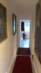 道利什1 Laurel Cottages的一间房子里铺有红地毯的走廊