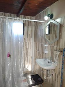 萨尔塔Mi casa的一间带水槽和淋浴帘的浴室
