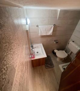 伯利恒Qandeel - Dar Botto的一间带水槽和卫生间的小浴室