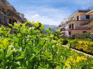 马斯卡利Al giardino Sant'Anna的享有花园的景色,其建筑背景为: