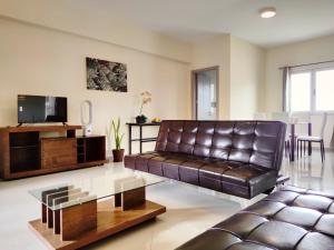 普拉亚Praia Capital Residence Aparthotel的客厅配有真皮沙发和电视