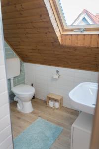 赞考Hegyestű-lába Vendégház的浴室配有卫生间、水槽和天窗。