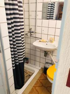 BezdanHoliday Home 108的一间带水槽和淋浴帘的浴室