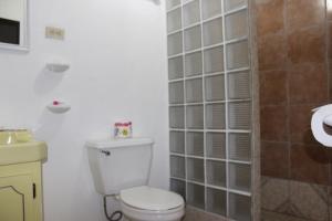 丹格里加北梭鱼酒店的浴室设有卫生间和带玻璃门的淋浴。