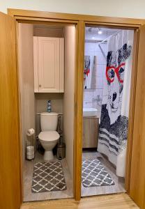 马热伊基艾Venta apartament的浴室设有卫生间和带红玻璃的淋浴