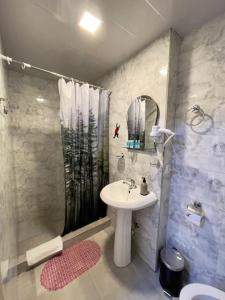第比利斯Hotel Maria的一间带水槽和淋浴的浴室