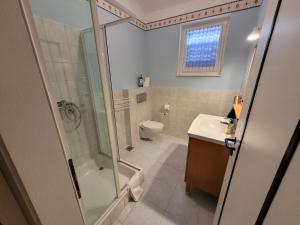 曼德雷Apartman Roman Mandre的带淋浴、卫生间和盥洗盆的浴室