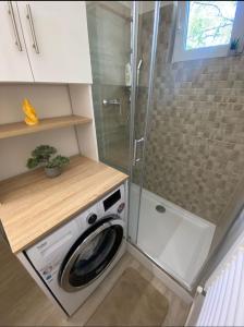 蒂米什瓦拉Apartamentul GAVIOTA的带淋浴的浴室内的洗衣机