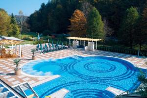 斯玛杰克托莱塞Hotel Vitarium Superior - Terme Krka的庭院里的一个蓝色的大型游泳池