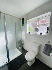 Llansantffraid Glan ConwyDriftwood Lodge的白色的浴室设有卫生间和淋浴。
