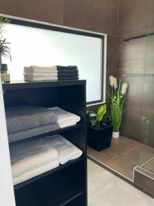 鲍洛通维拉戈什ARIS Apartman的一间带黑色架子和毛巾的浴室