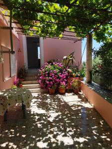 AsfendhilÃ©sGarden Of Olive Trees的阳台上种有鲜花和植物的房子